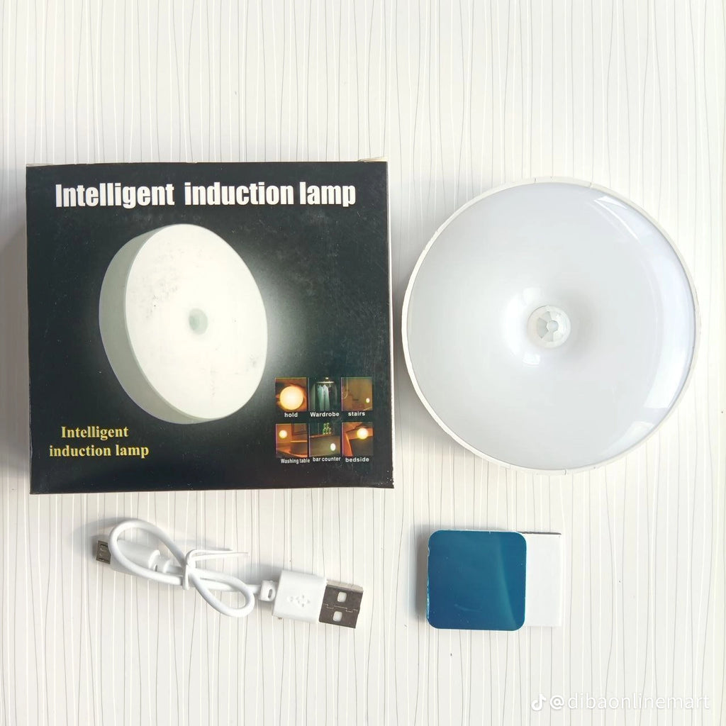 Wireless Magnetic LED Puck Light